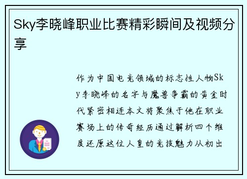 Sky李晓峰职业比赛精彩瞬间及视频分享